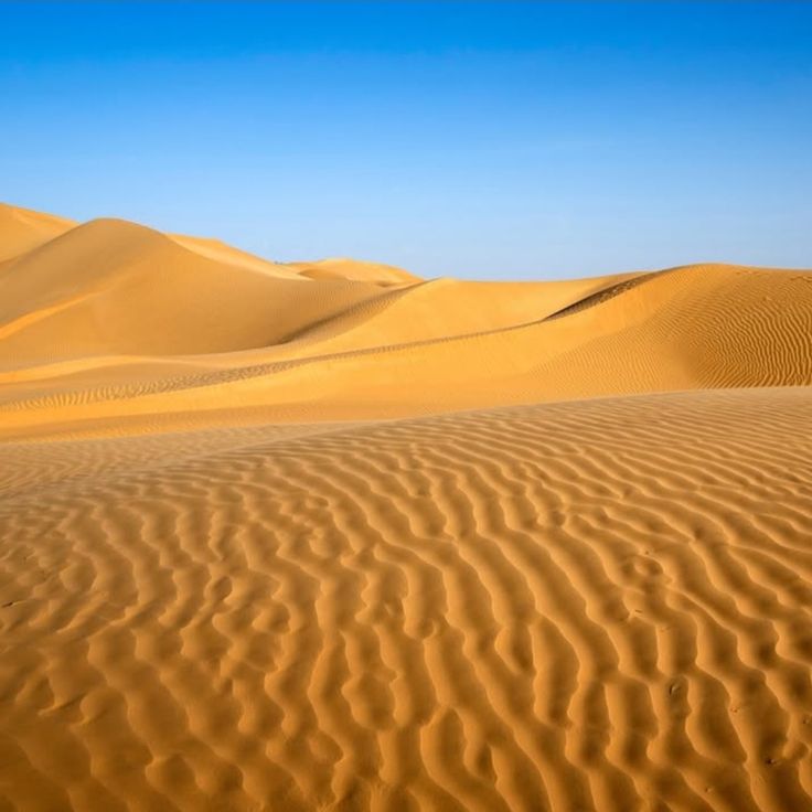 Sand Dunes