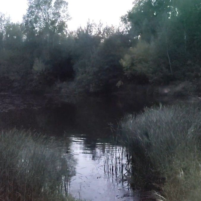 River Valley
