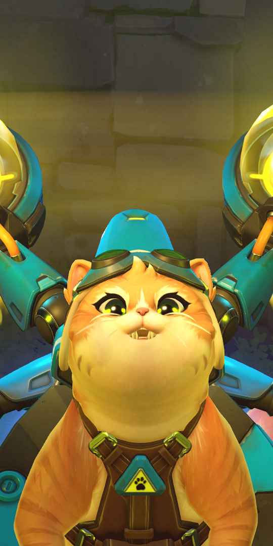 Overwatch Fan Community