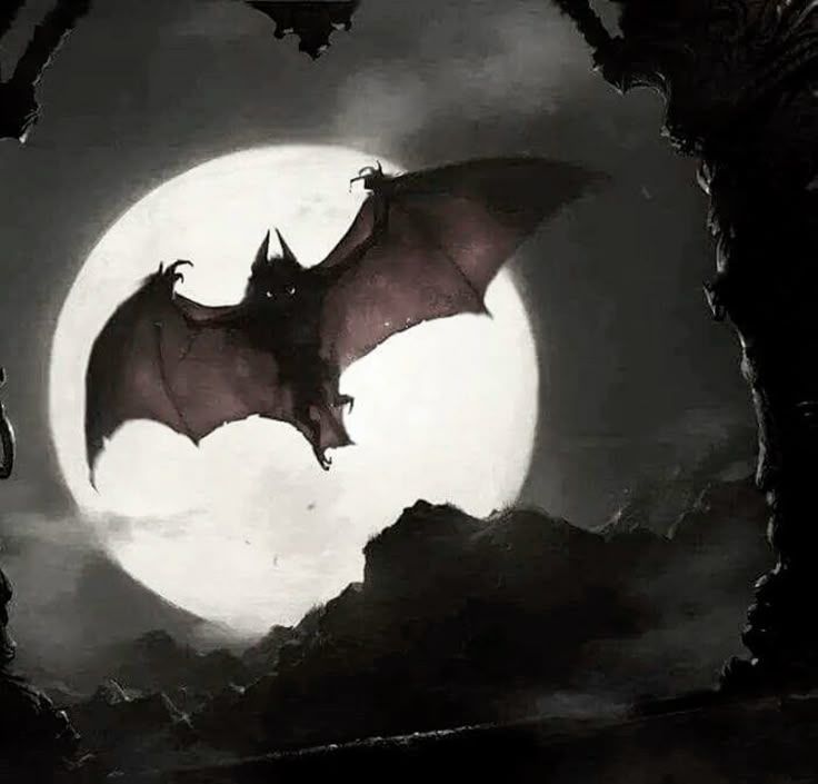Vampire corner