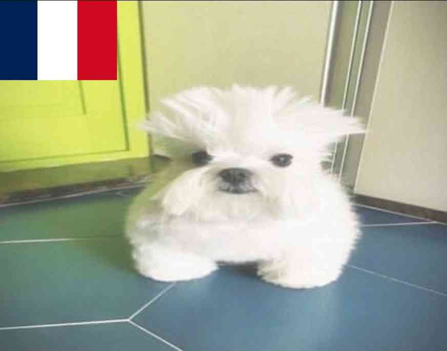 Le Royaume